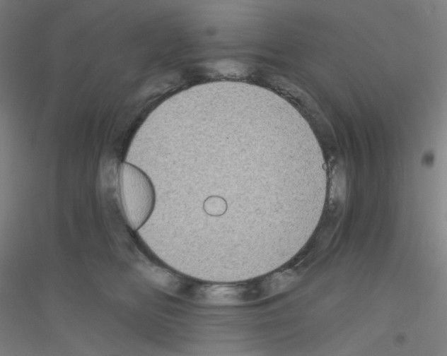 X0000116790518201001291521