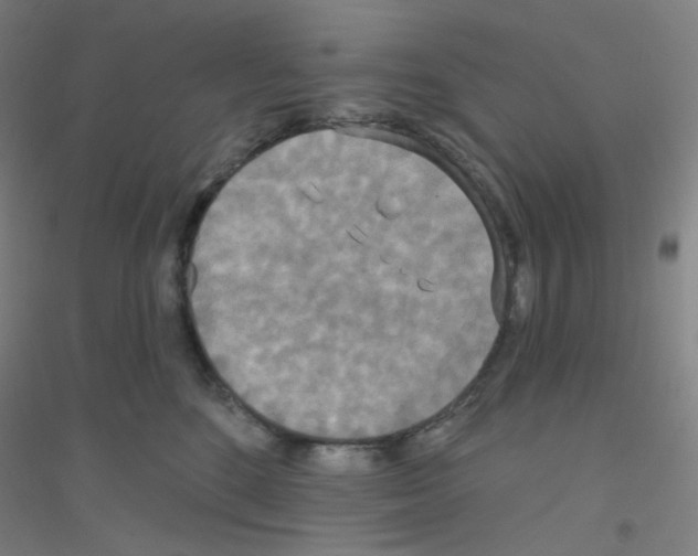 X0000116790520201001291521