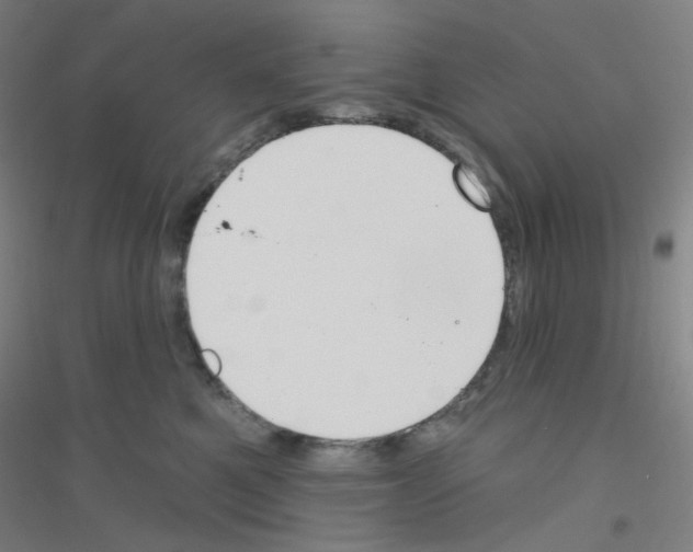 X0000116790521201001291521