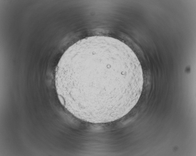 X0000116790523201001291521