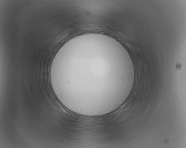X0000116790528201001291521