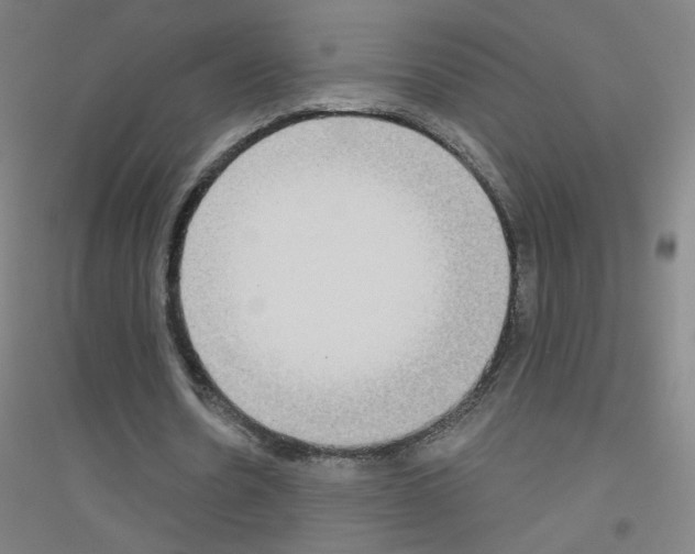 X0000116790530201001291520