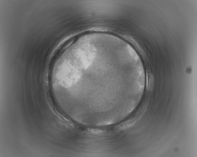 X0000116790531201001291520