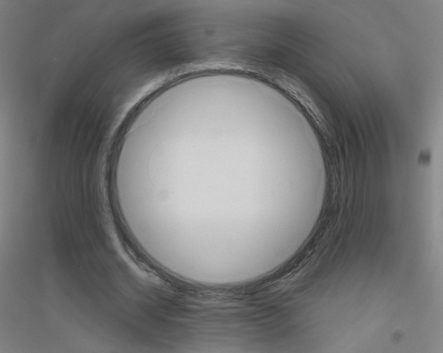 X0000116790534201001291521