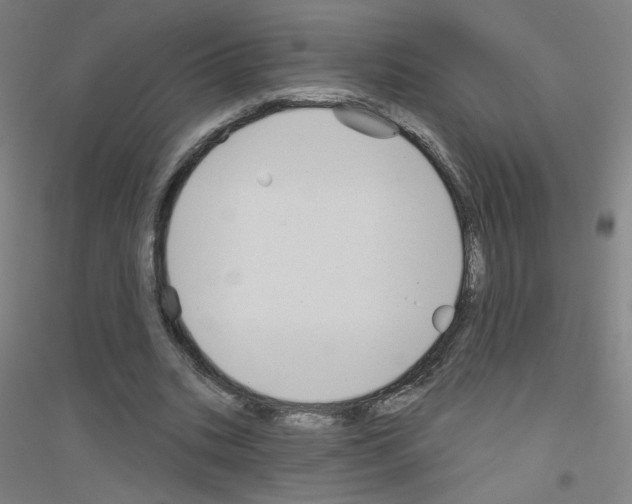 X0000116790535201001291521