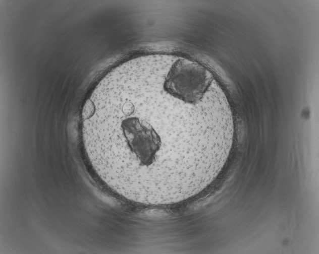 X0000116790537201001291521