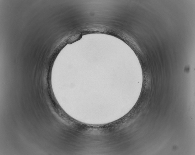 X0000116790538201001291521