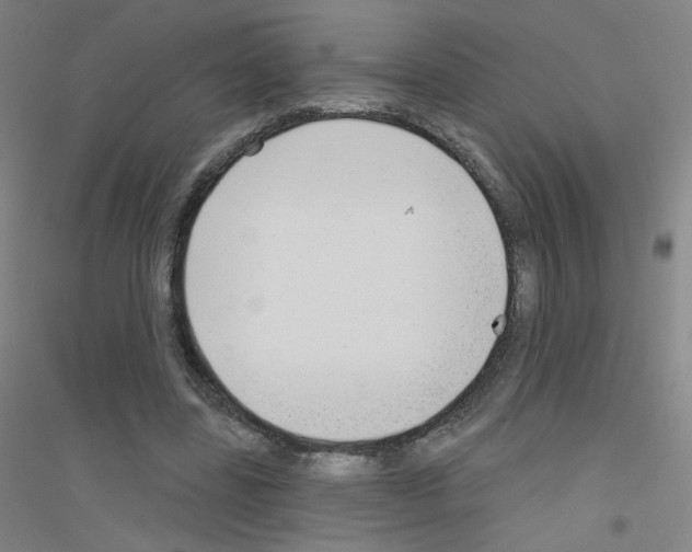 X0000116790539201001291521