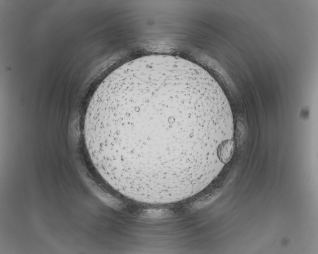 X0000116790541201001291521