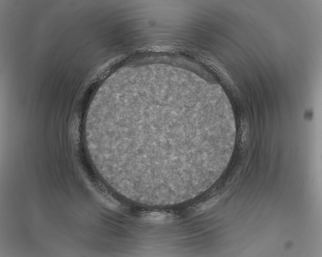 X0000116790542201001291521