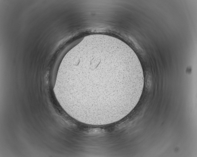 X0000116790543201001291521