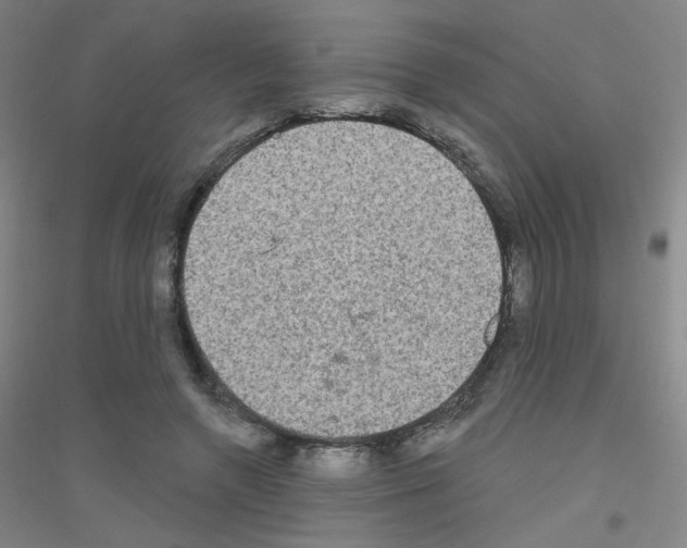 X0000116790546201001291521