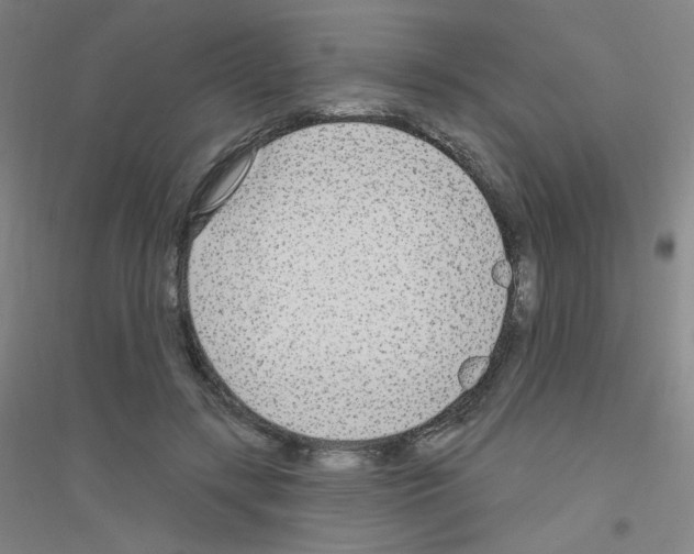 X0000116790547201001291521