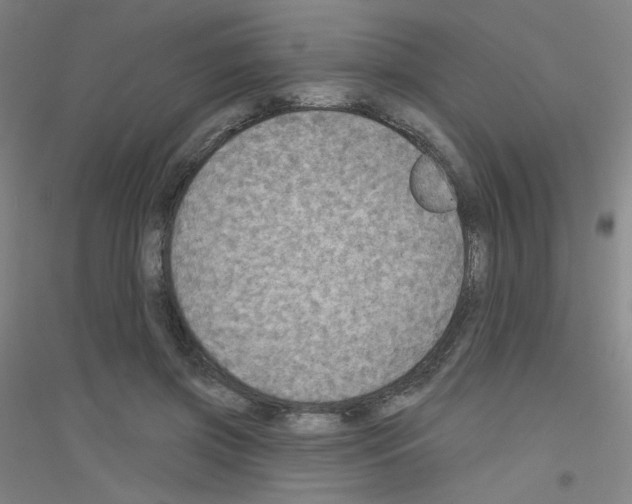 X0000116790549201001291521