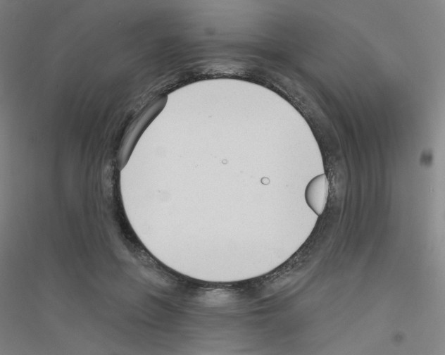 X0000116790551201001291521