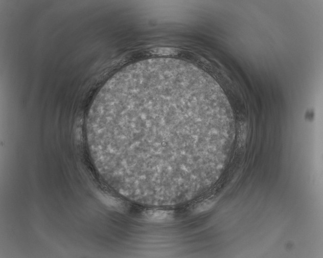 X0000116790553201001291521