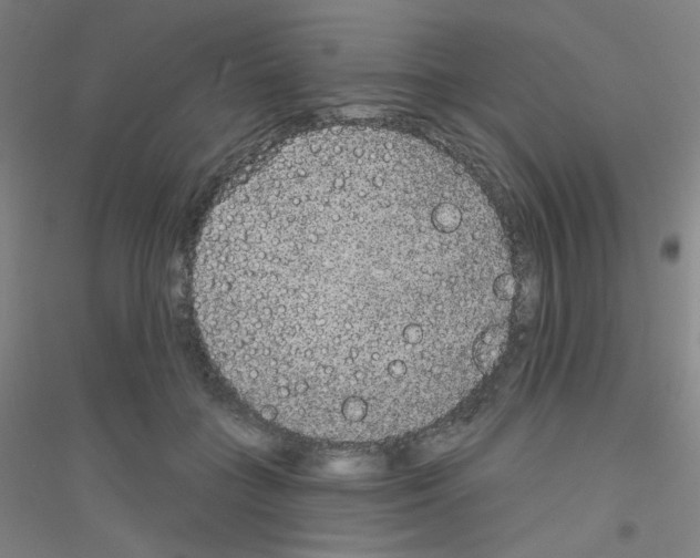 X0000116790555201001291521