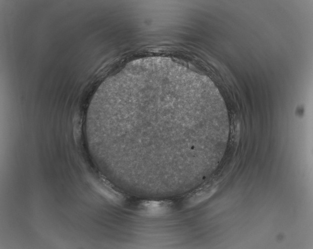 X0000116790558201001291521