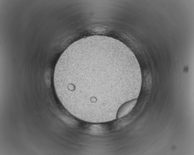 X0000116790562201001291521