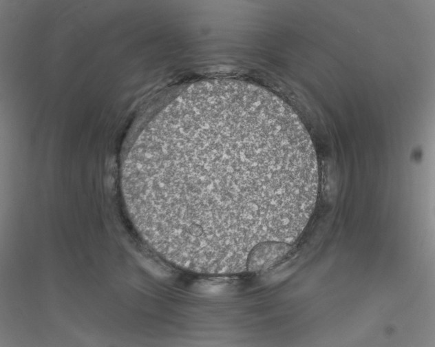 X0000116790563201001291521