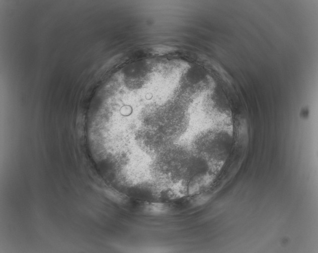 X0000116790565201001291521