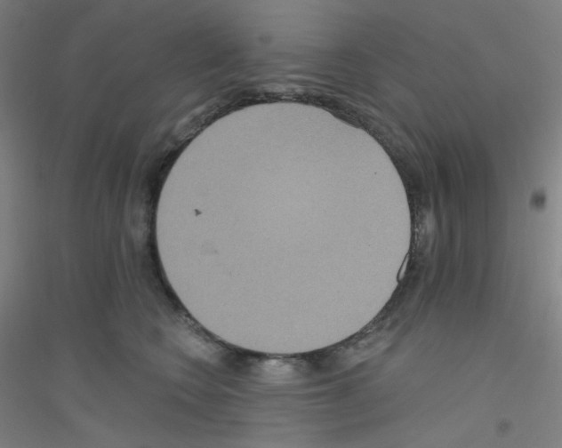 X0000116790566201001291521