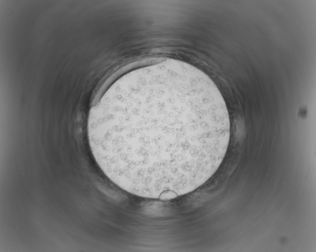 X0000116790567201001291521