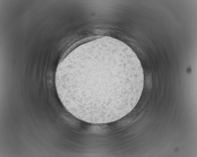 X0000116790571201001291521