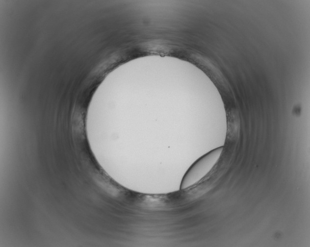 X0000116790573201001291521