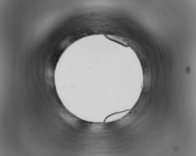 X0000116790574201001291521