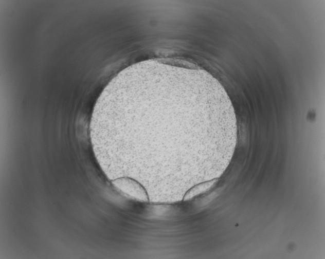 X0000116790575201001291521