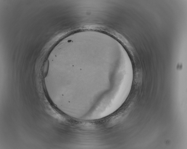 X0000116790577201001291520