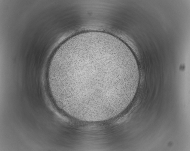X0000116790578201001291520