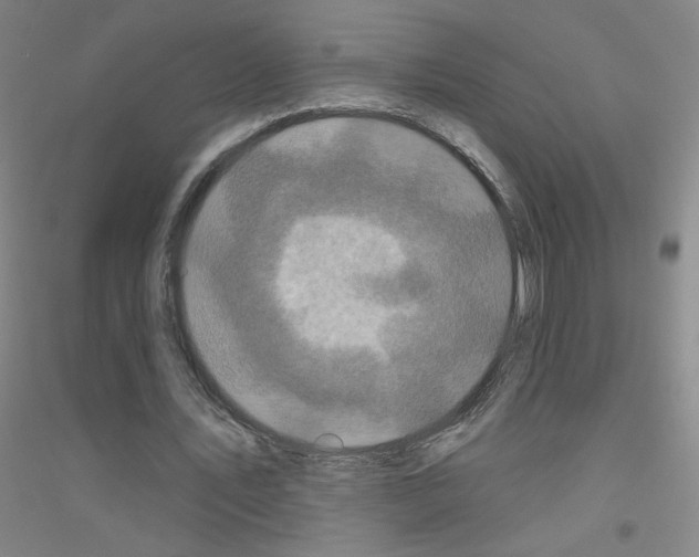 X0000116790579201001291520