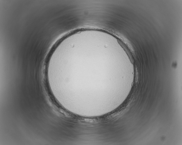 X0000116790580201001291520