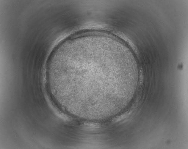 X0000116790582201001291520