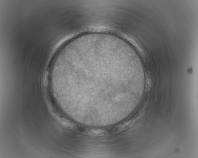 X0000116790583201001291520