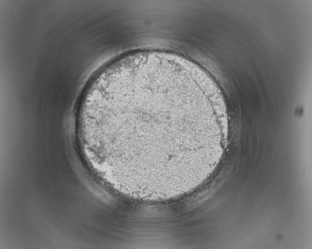 X0000116790584201001291520