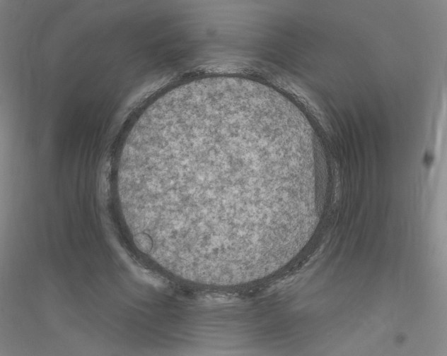 X0000116790586201001291520