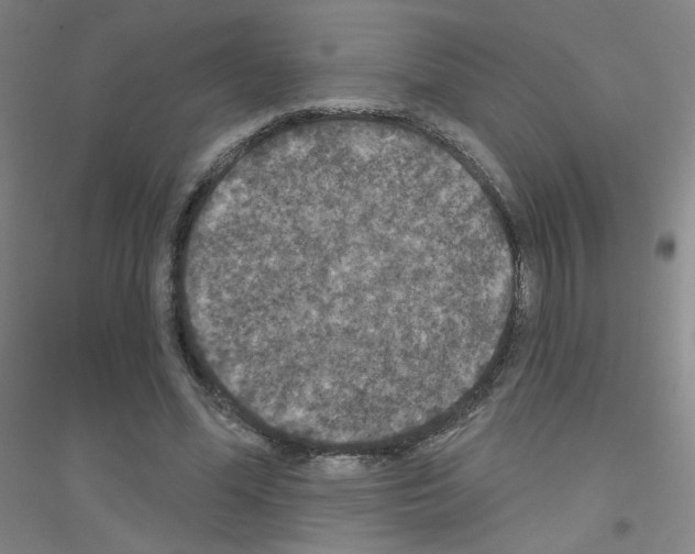 X0000116790588201001291520