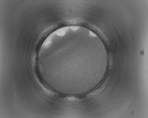 X0000116790590201001291520
