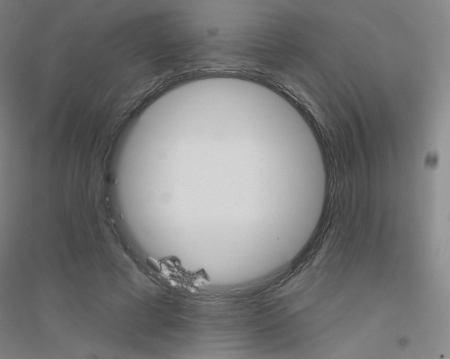 X0000116790593201001291520