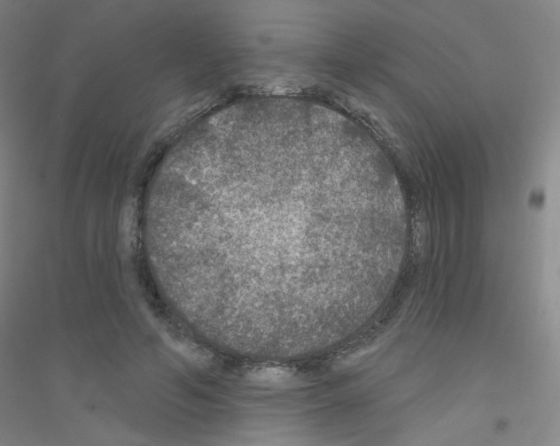 X0000116790594201001291520
