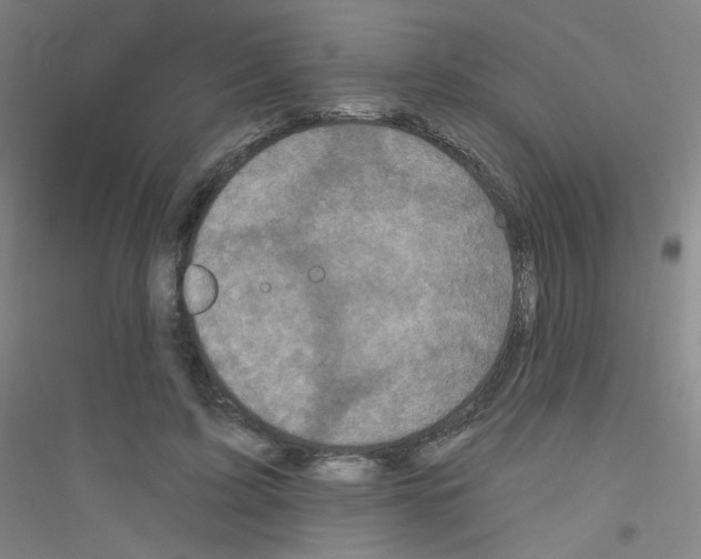 X0000116790595201001291520