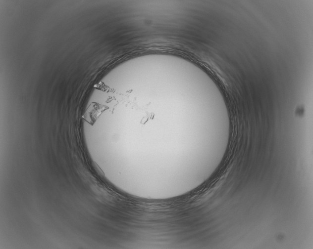 X0000116790597201001291520