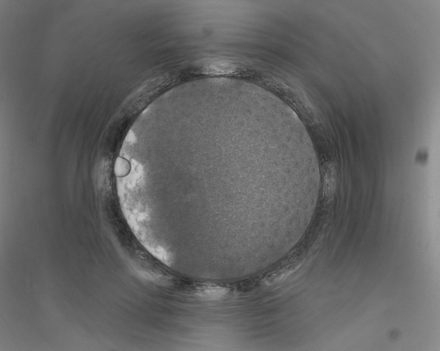 X0000116790598201001291520