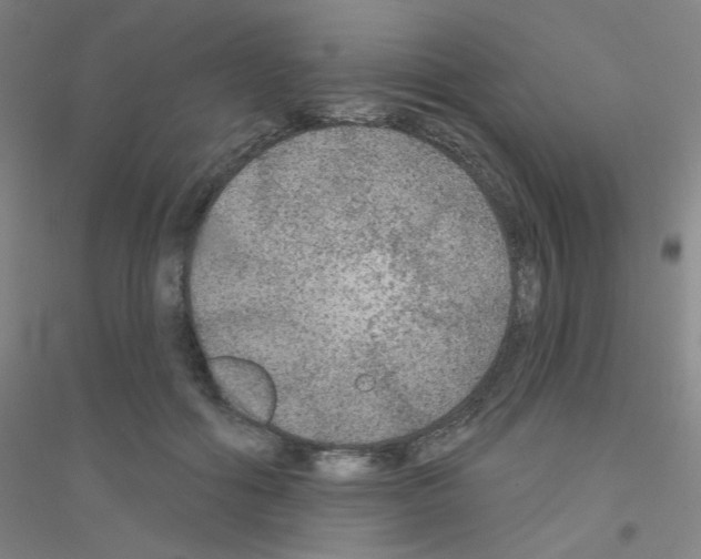 X0000116790602201001291520