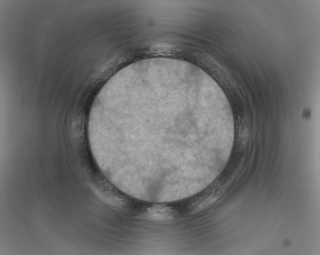 X0000116790603201001291520