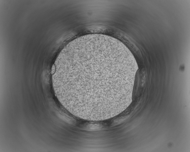 X0000116790604201001291520