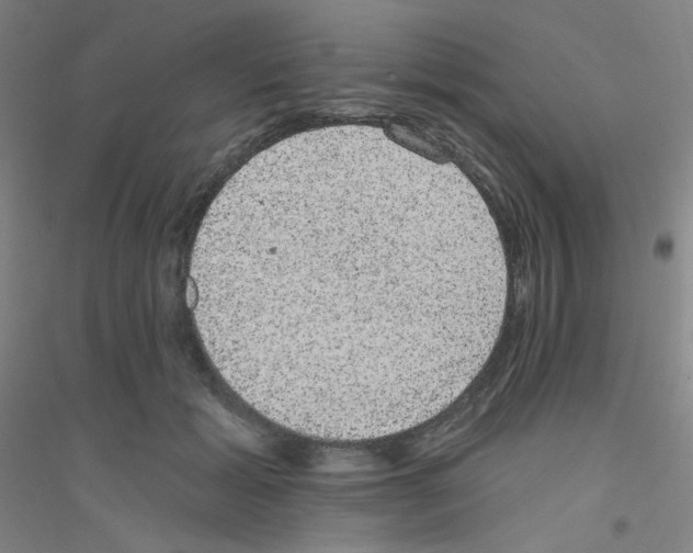 X0000116790605201001291520